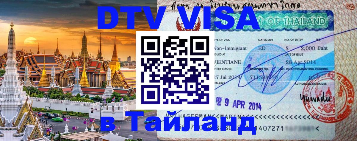 Сколько стоит DTV виза — актуальные цены, оформление даже без документов - 